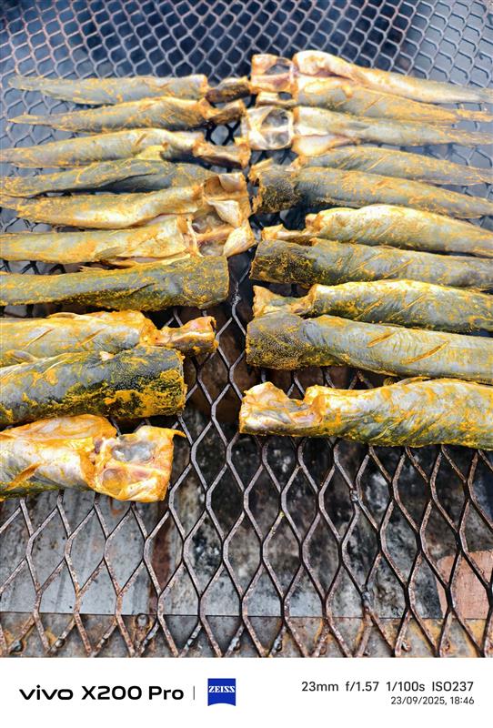 Ikan Keli Talapiar Segar salai