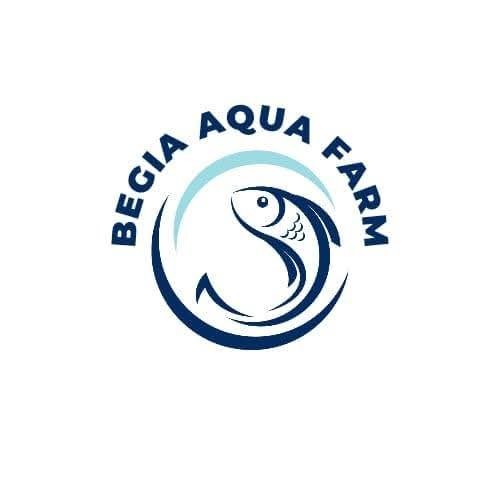 Benih Ikan Talapia