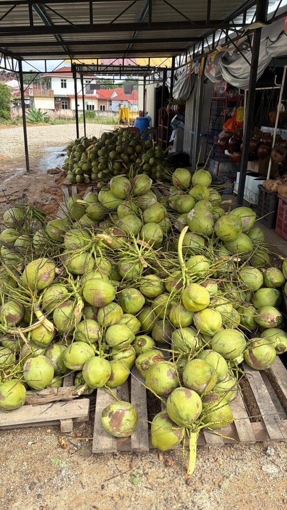 Kelapa Pandan